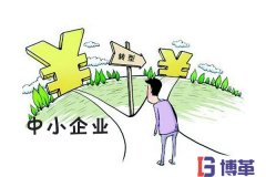博革咨詢(xún)論中國(guó)中小民營(yíng)企業(yè)的出路