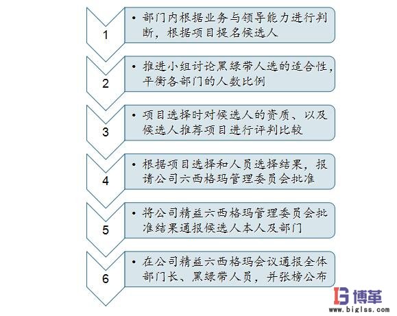 六西格瑪黑帶、綠帶人員的選擇