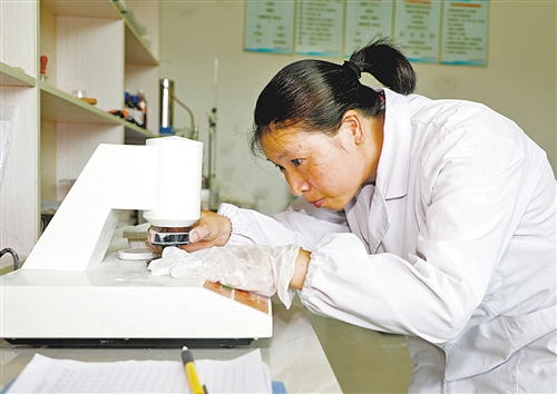 塑盡其能 綠色轉型下的技術研發新篇章